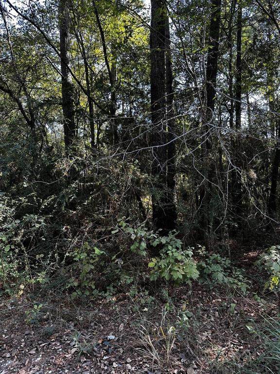 21793 Bluebonnet Drive - Photo 1