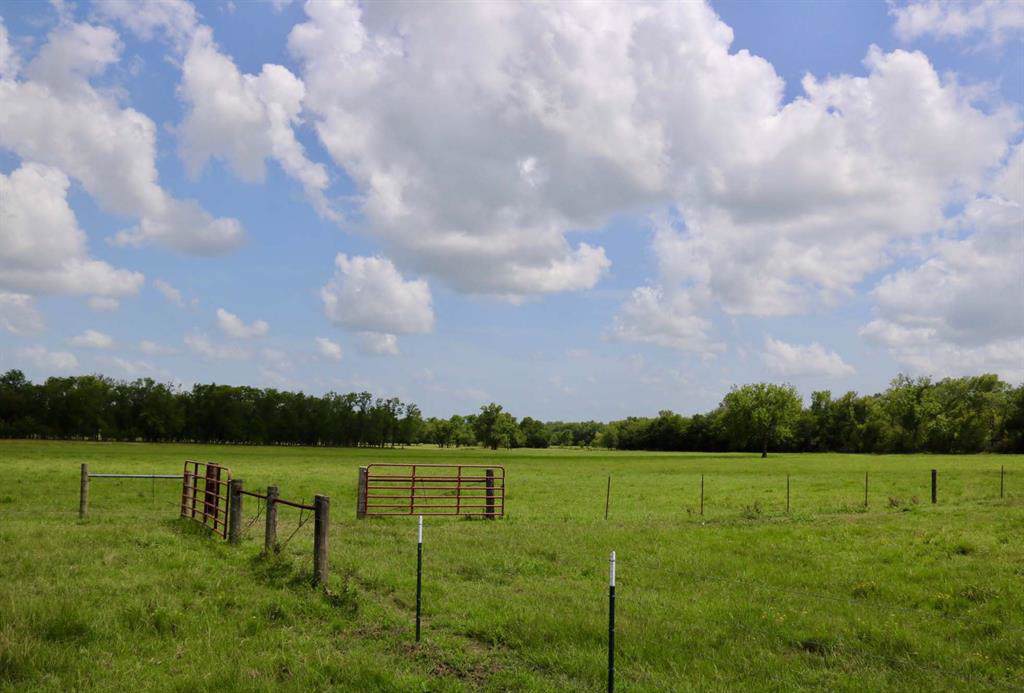0020 County Road 185 - Photo 1
