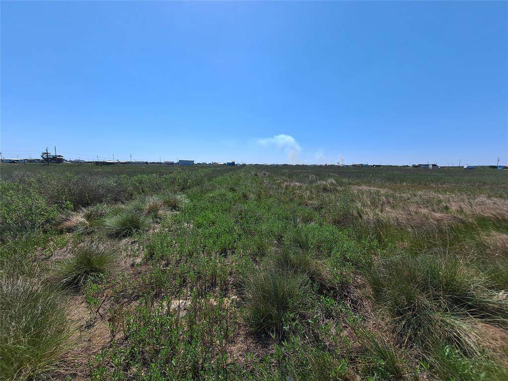 15124 Seahorse Street - Photo 1