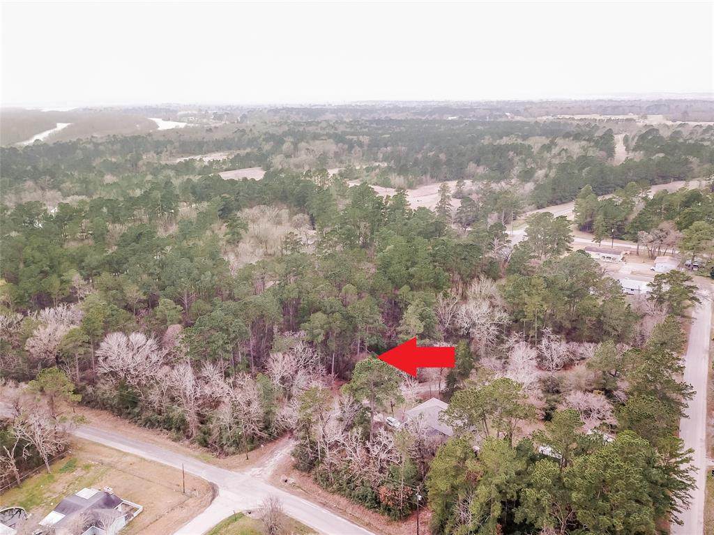 162 Pine Cone Lane - Photo 1