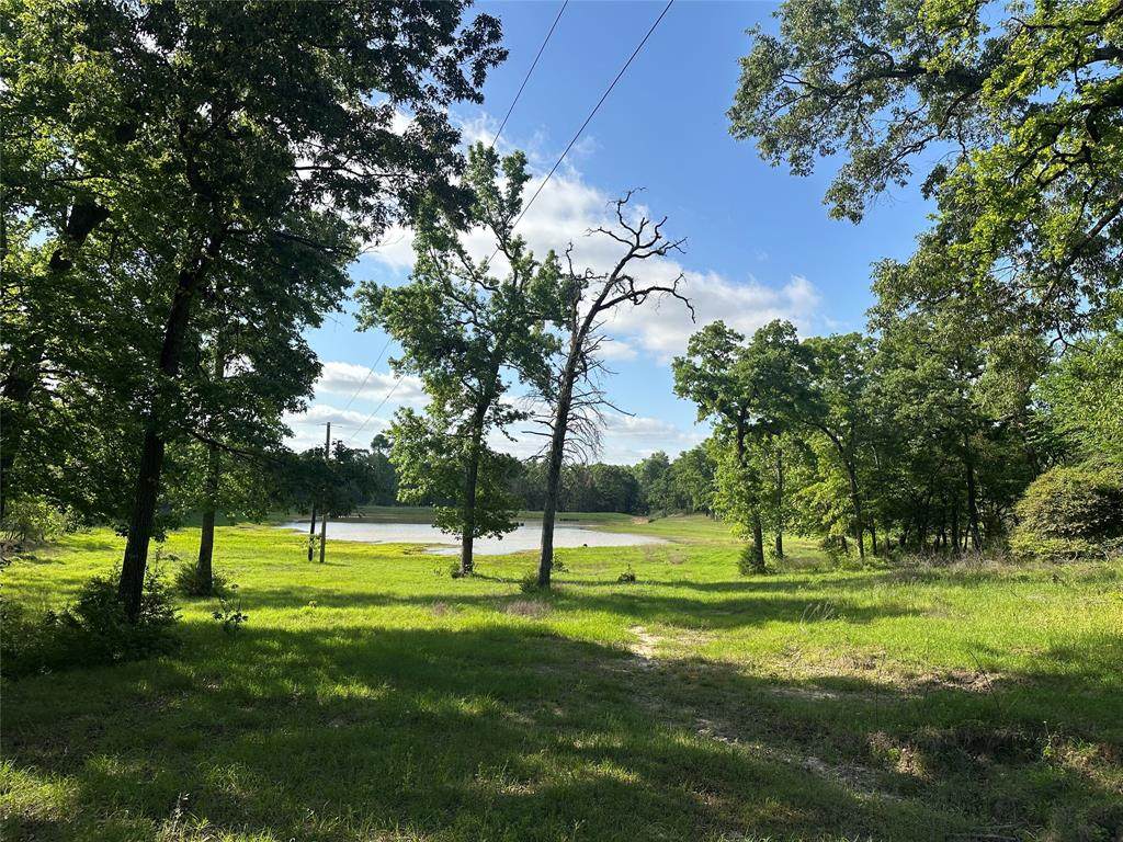 439 Walnut Ln Lane - Photo 1