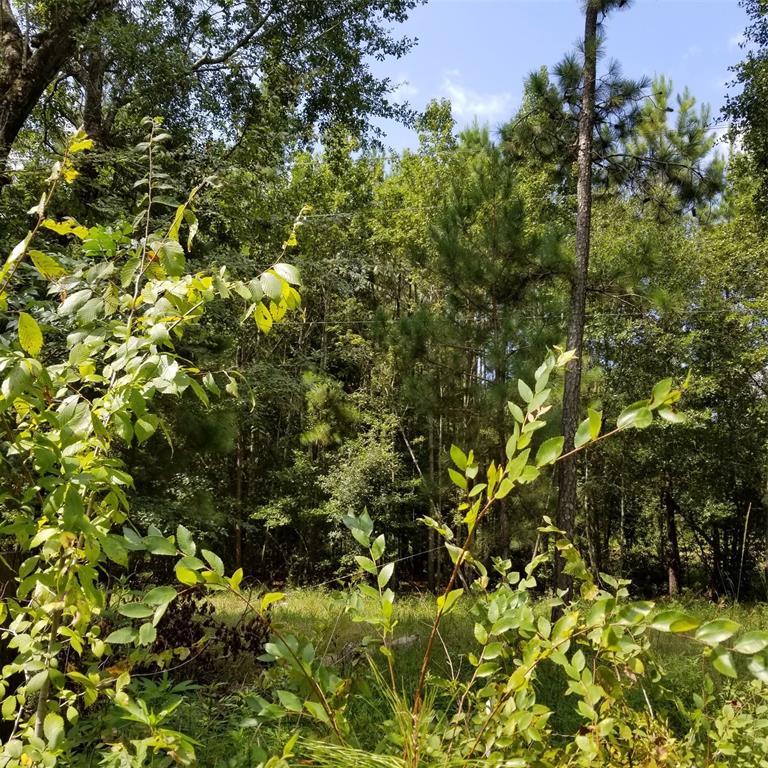 7516 Jackson Road - Photo 1