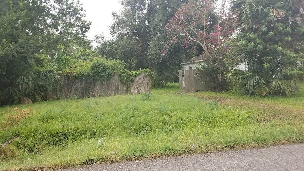 250 Carolina Street - Photo 1