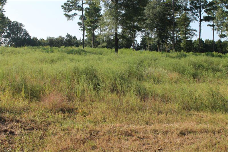 TBD Oquinn Road - Photo 1