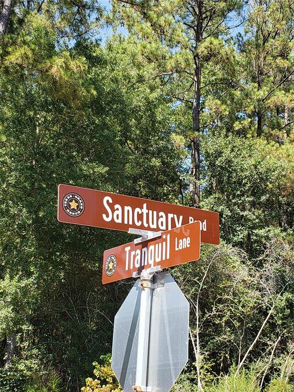 Lot 64 Sanctuary Road - Photo 1