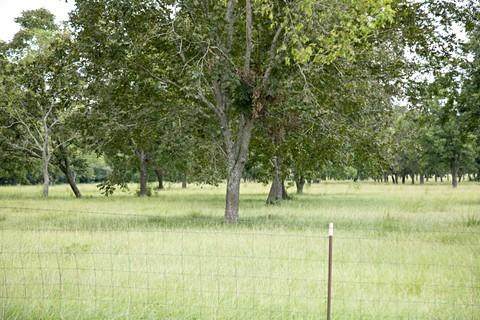 000 Fm Hwy 3342 - Photo 1