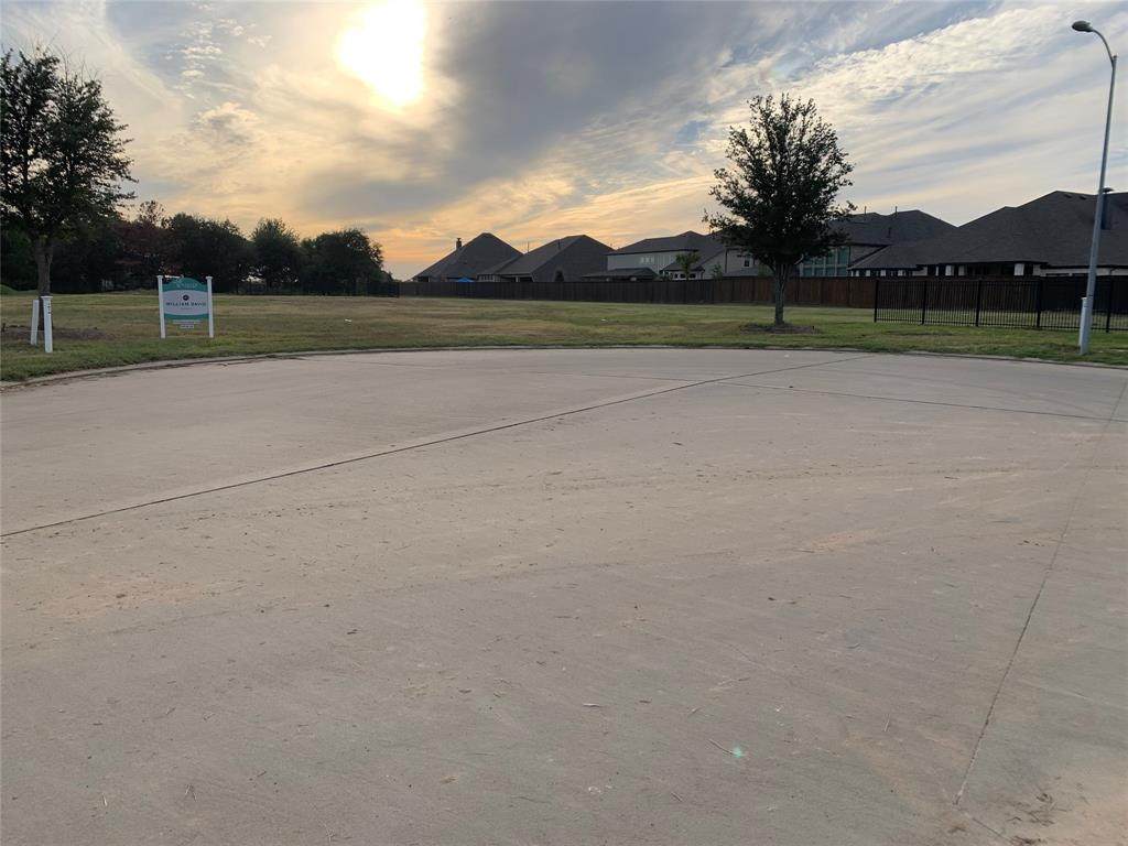 7302 Palmetto Springs Trail - Photo 1