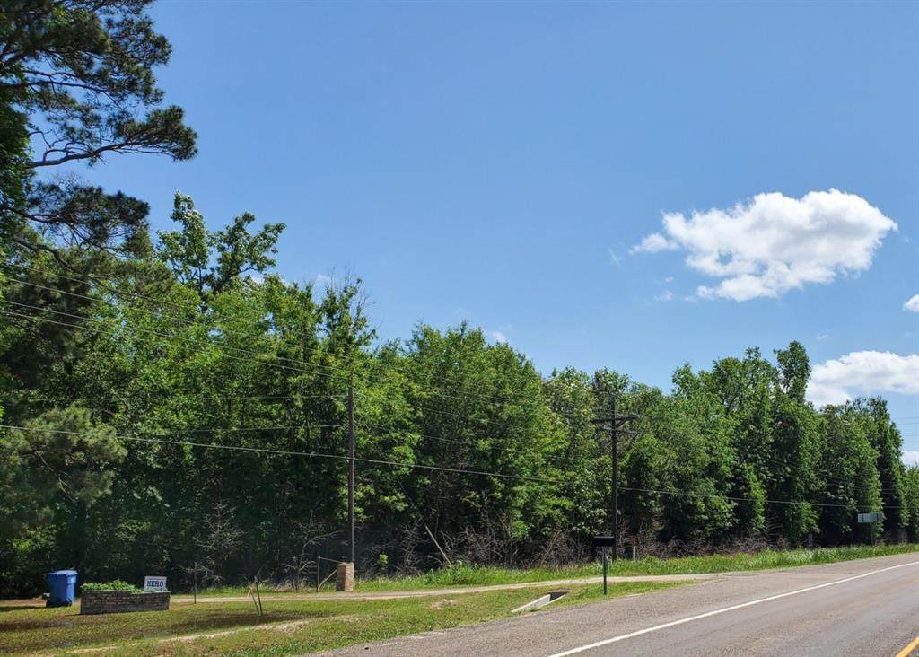 0 Hwy 190 - Photo 1