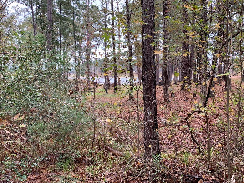 000 Lakeway Drive - Photo 1