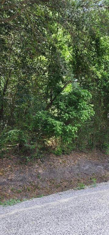 0 Woody Road - Photo 1