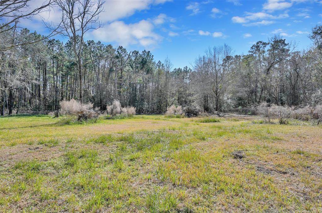 7811 Black Oak Drive - Photo 1