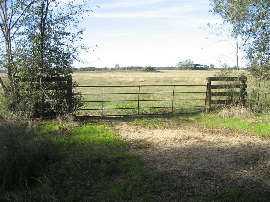 1598 Us Highway 287 - Photo 1