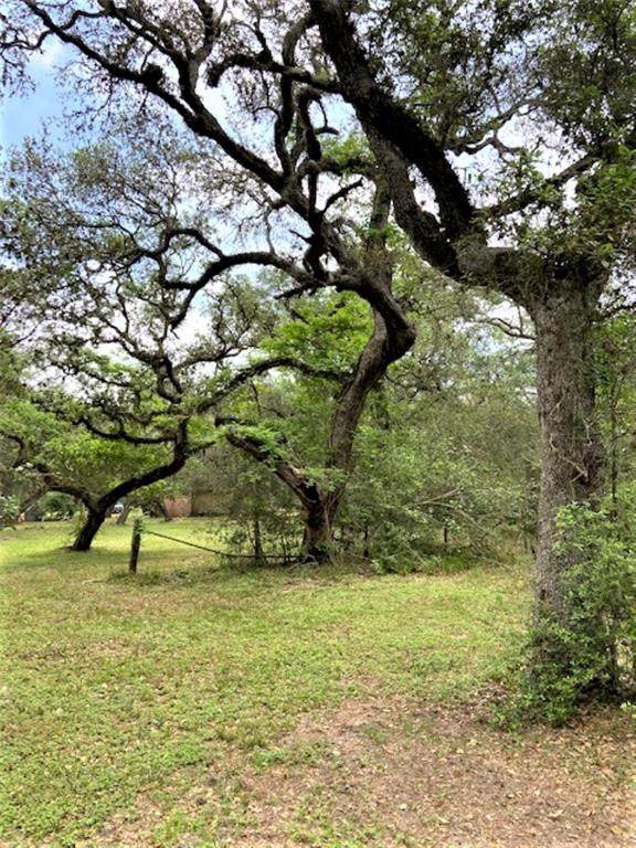 0 County Road 399 - Photo 1