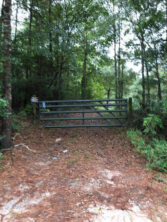 4742 Jackson Road - Photo 1