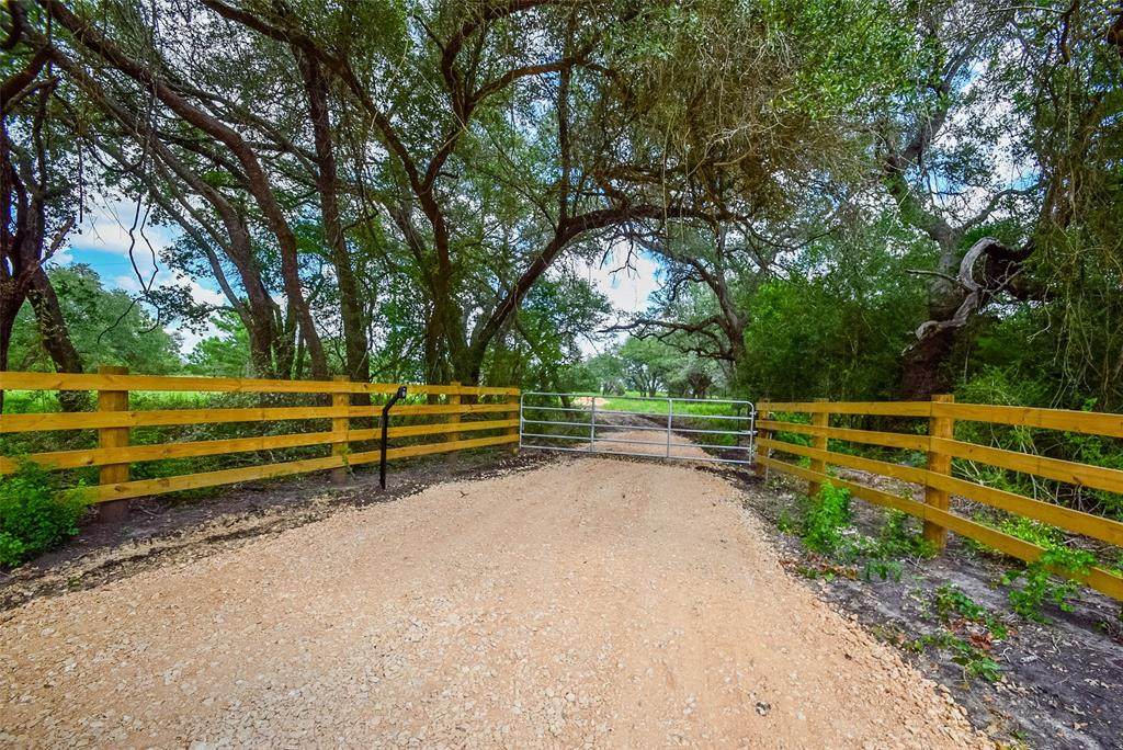 000 Farm To Market Road 609 - Photo 1