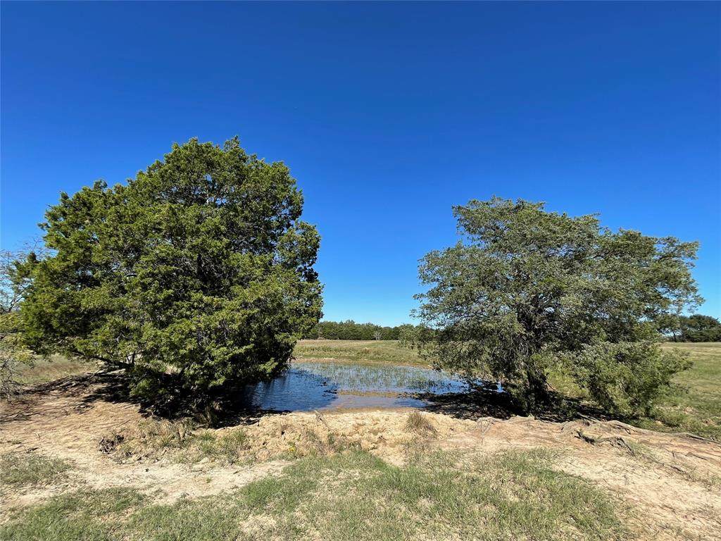 TBD Tract 7 Fcr 510 - Photo 1
