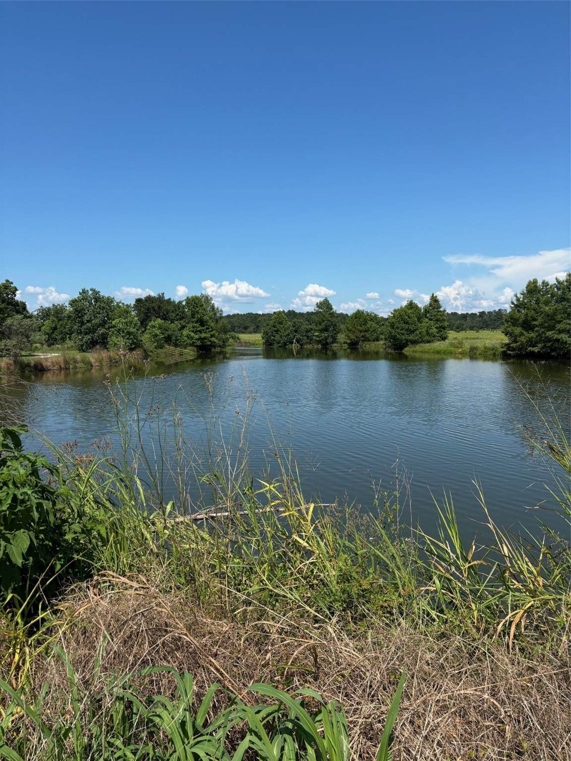 585 Industrial Park Boulevard - Photo 1