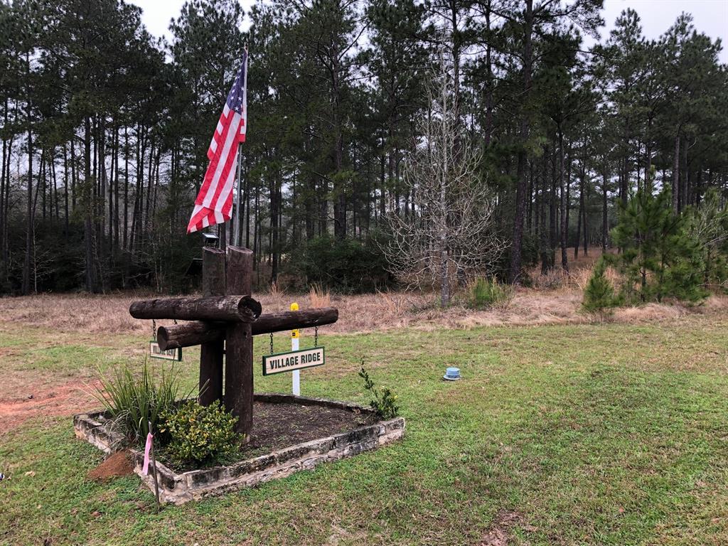 29011 Village Bend - Photo 1