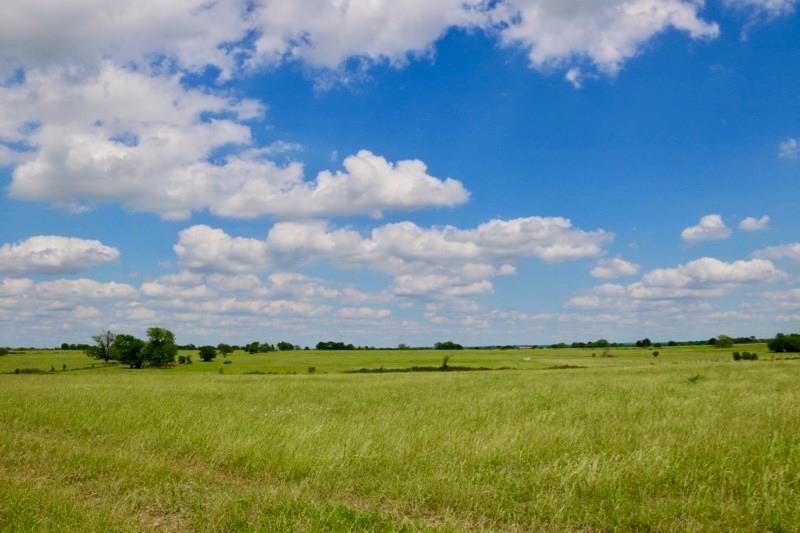 Lot 9 Reagans Way - Photo 1