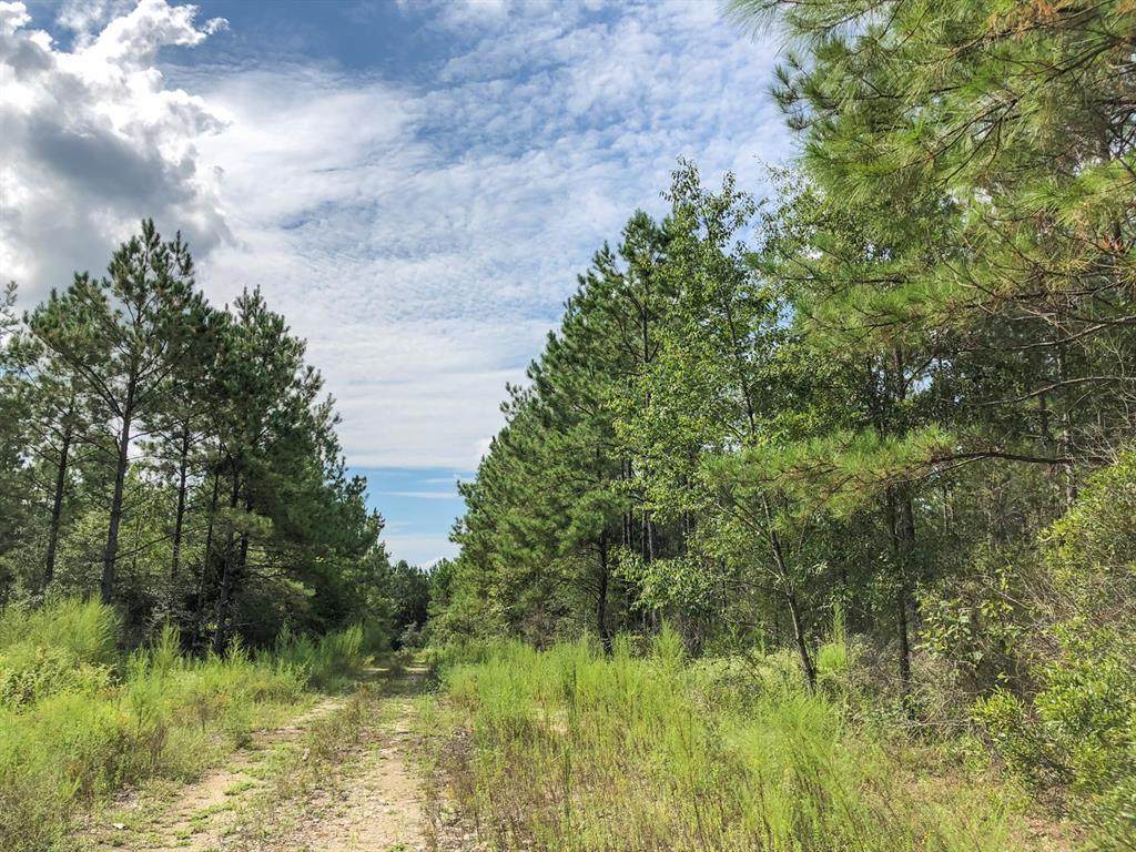 0000 County Road 4280 - Photo 1