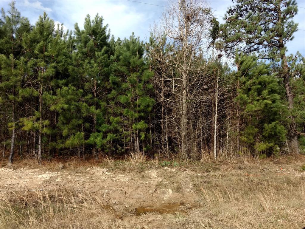 360 County Road 303 - Photo 1