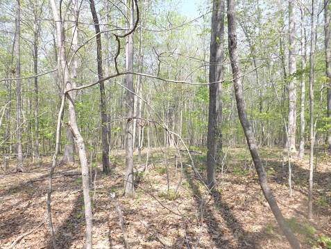 7095 Porter Drive - Photo 1