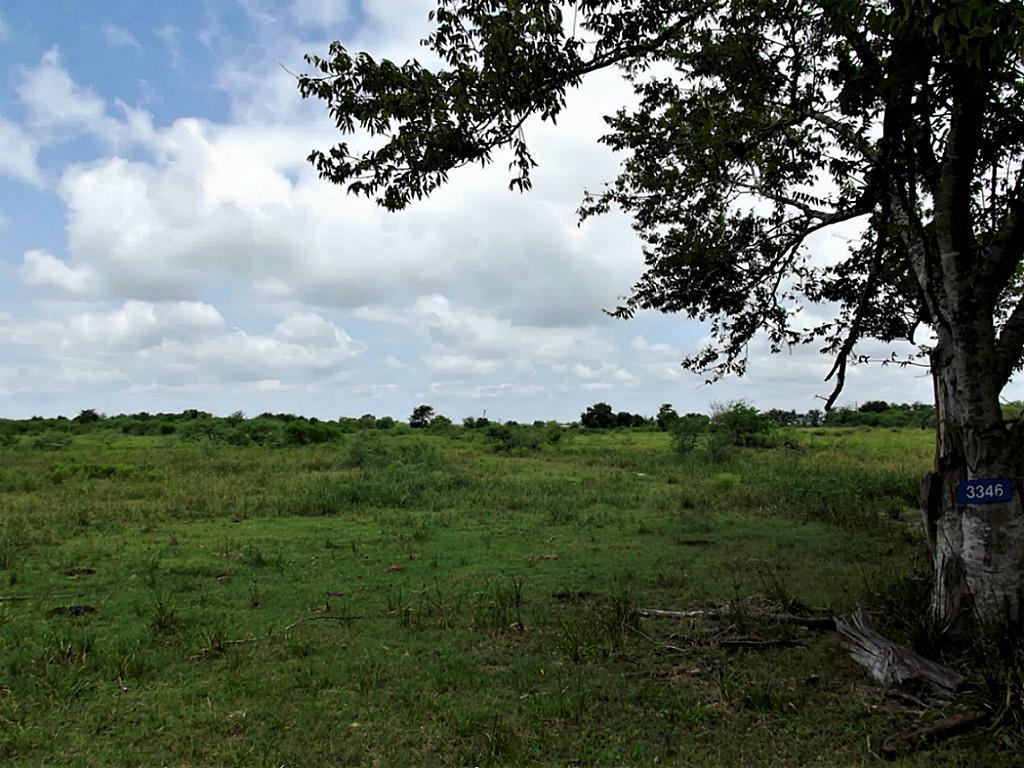 3346 Orange Hill - Photo 1