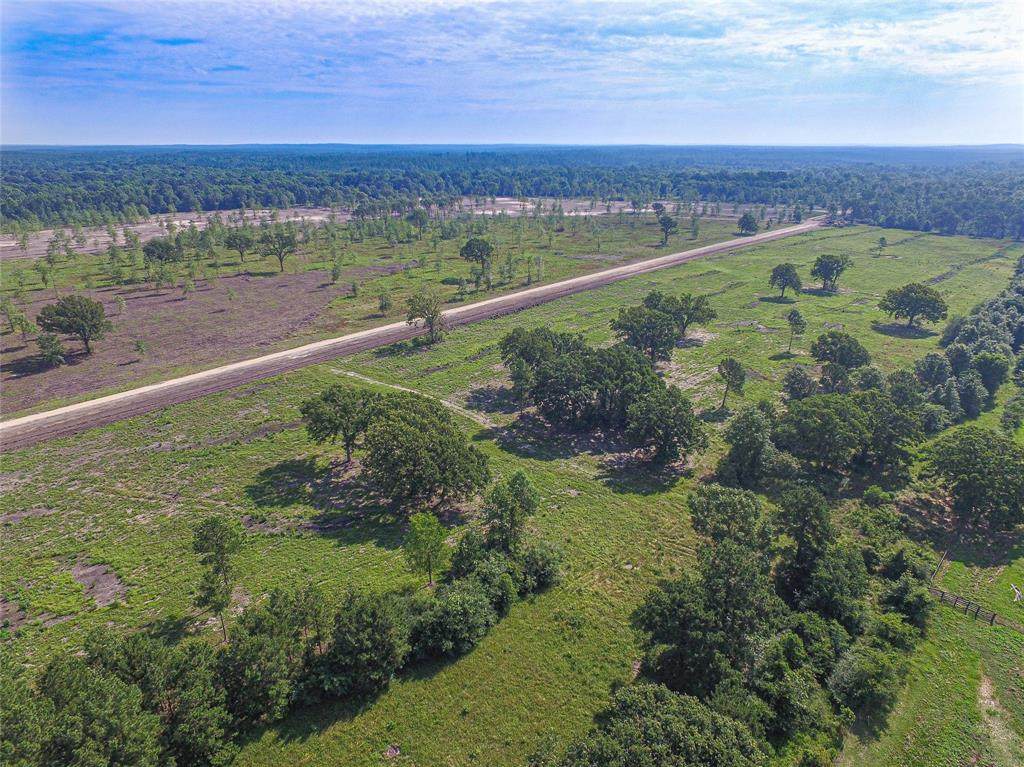 0019 Brushy Creek - Photo 1
