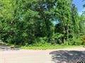 1023 Peach Avenue - Photo 1