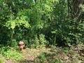 1023 Peach Avenue - Photo 4
