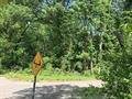 1023 Peach Avenue - Photo 7