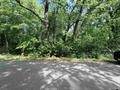 1023 Peach Avenue - Photo 8