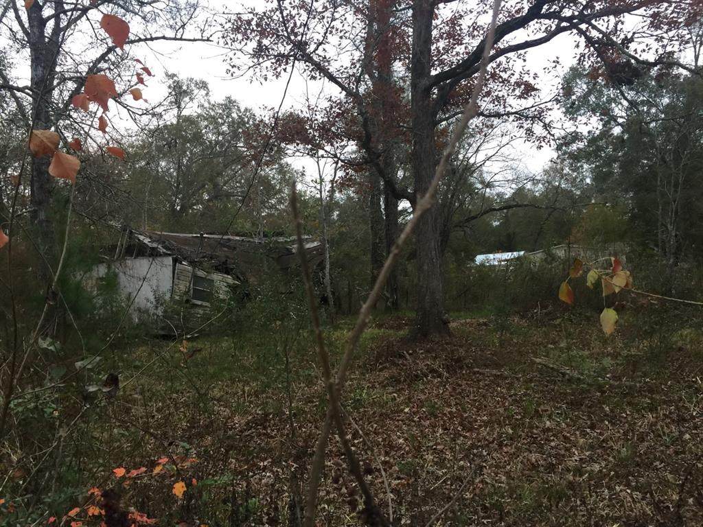 411 Midlane - Photo 1