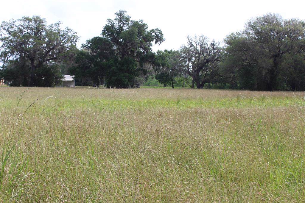 1419 Bronco Trail - Photo 1