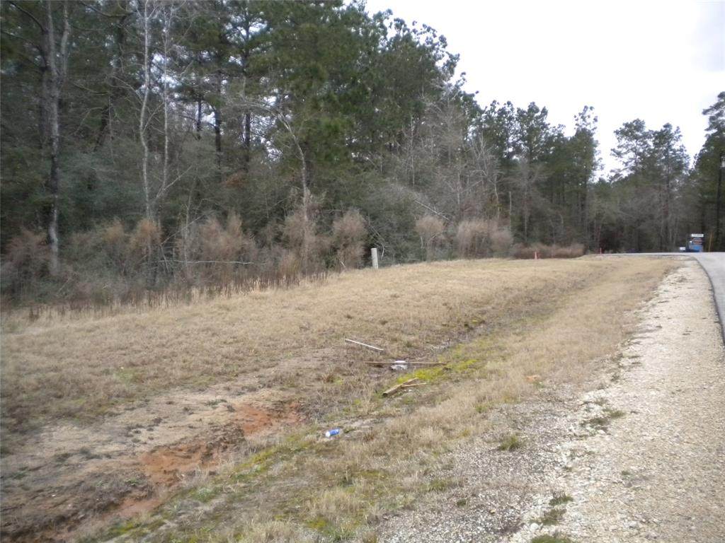 000 Sanctuary Road - Photo 1