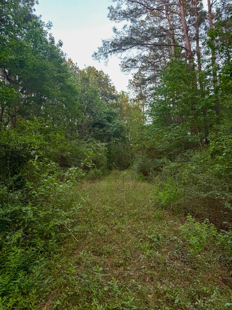 1 Sh 75 South - Photo 1