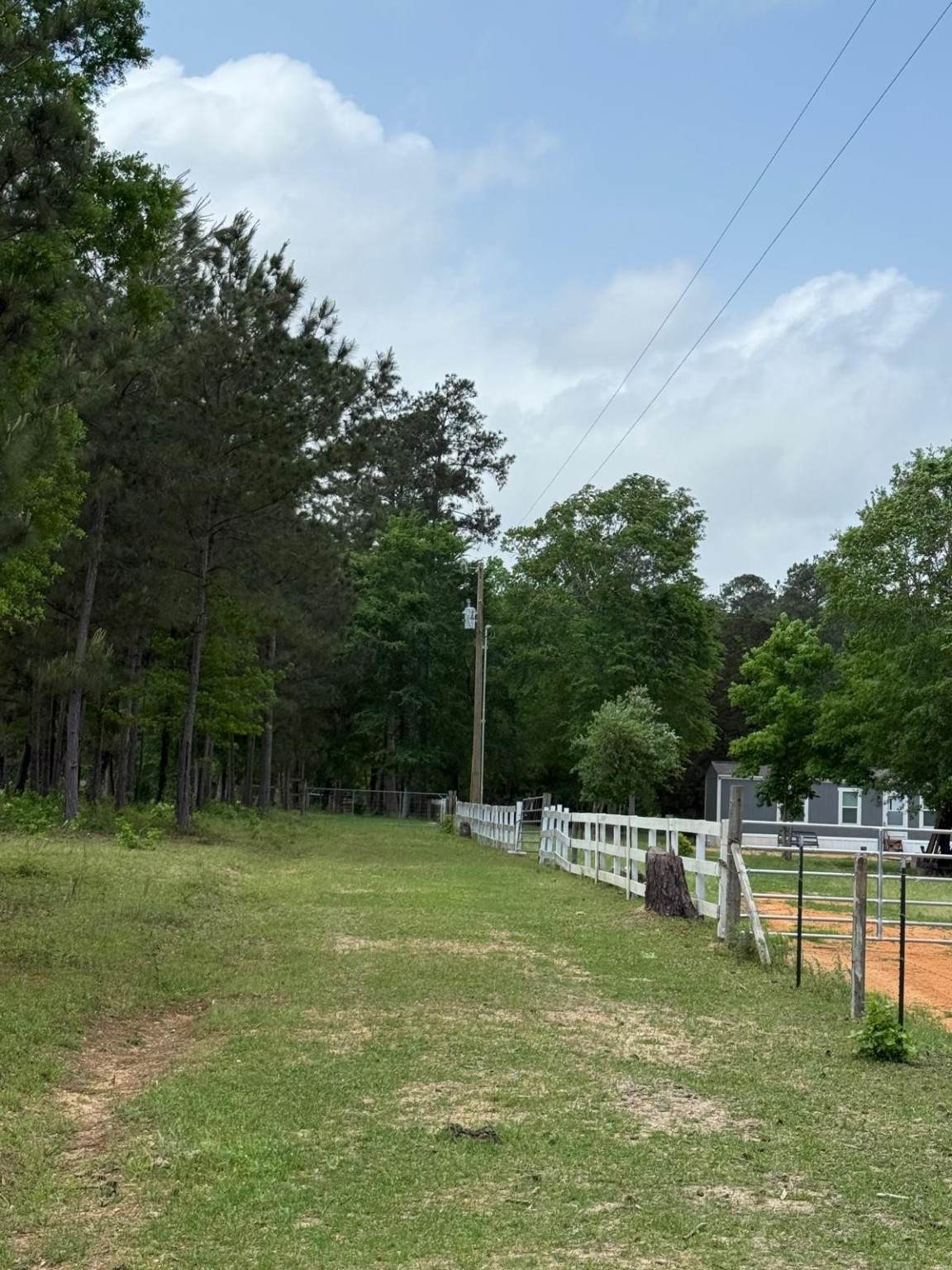 0000 Denson Reed Road - Photo 1