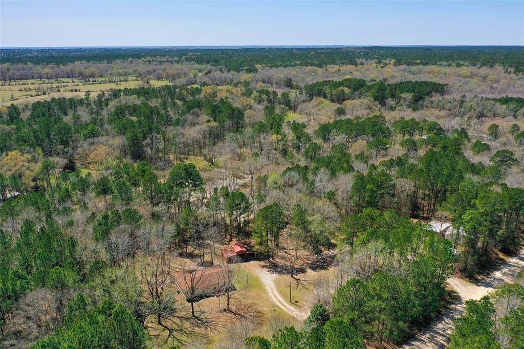 615 Bentwood Bend - Photo 1