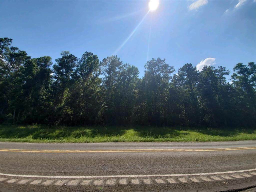 1008 County Road 650 - Photo 1