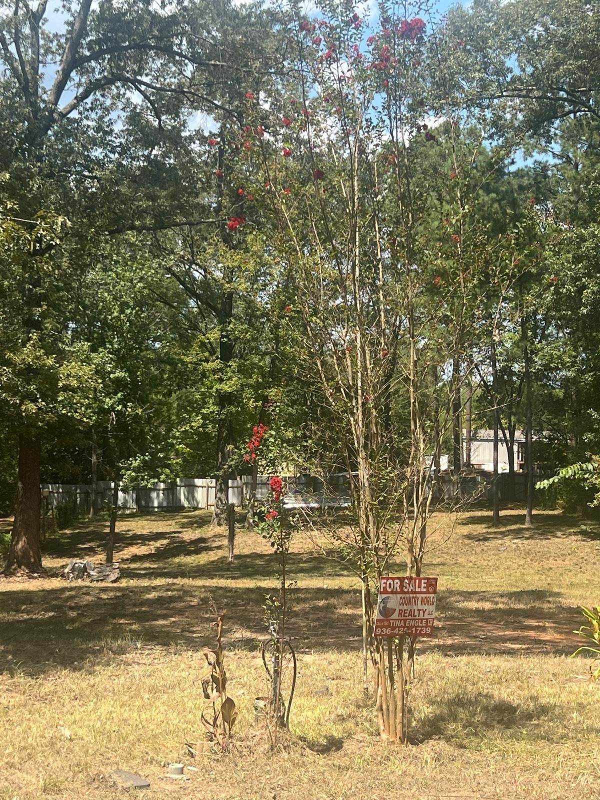 https://bt-photos.global.ssl.fastly.net/harmls/1280_boomver_1_33115413-2.jpg