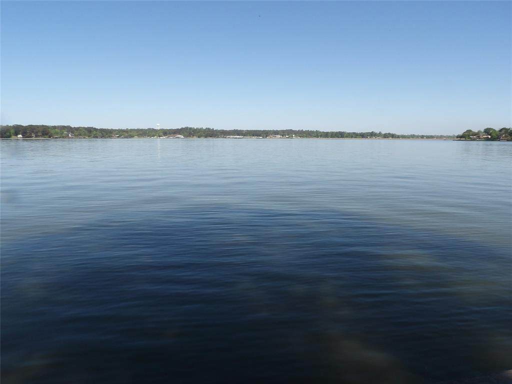 TBD Dove Island Island - Photo 1