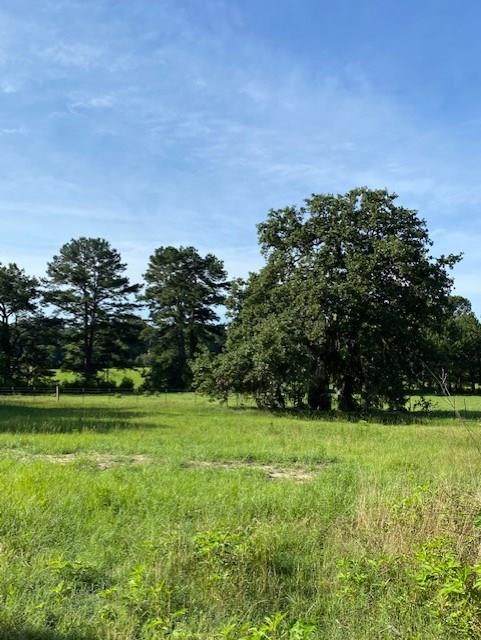 Lot 4 Cedar Lane Loop - Photo 1
