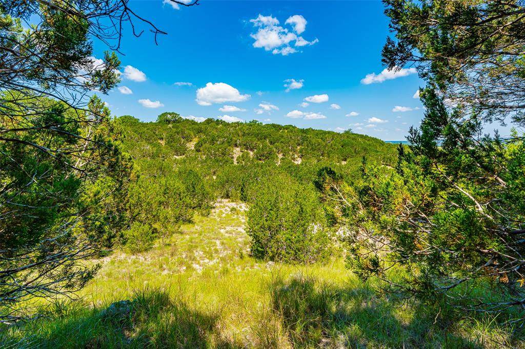 Lot 144 Cedar Mountain Drive - Photo 1