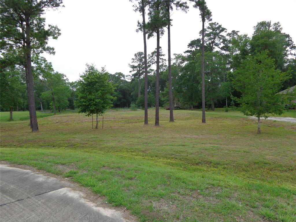 7334 Bayou Timbers Drive - Photo 1