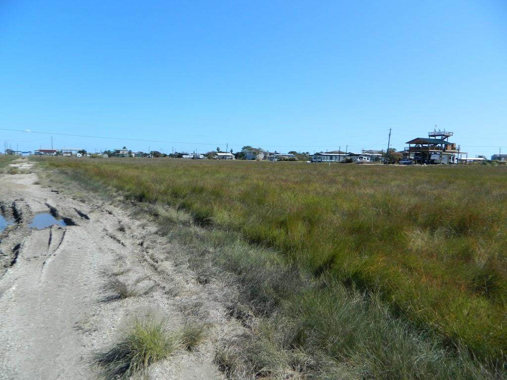 79 Starfish Street - Photo 1