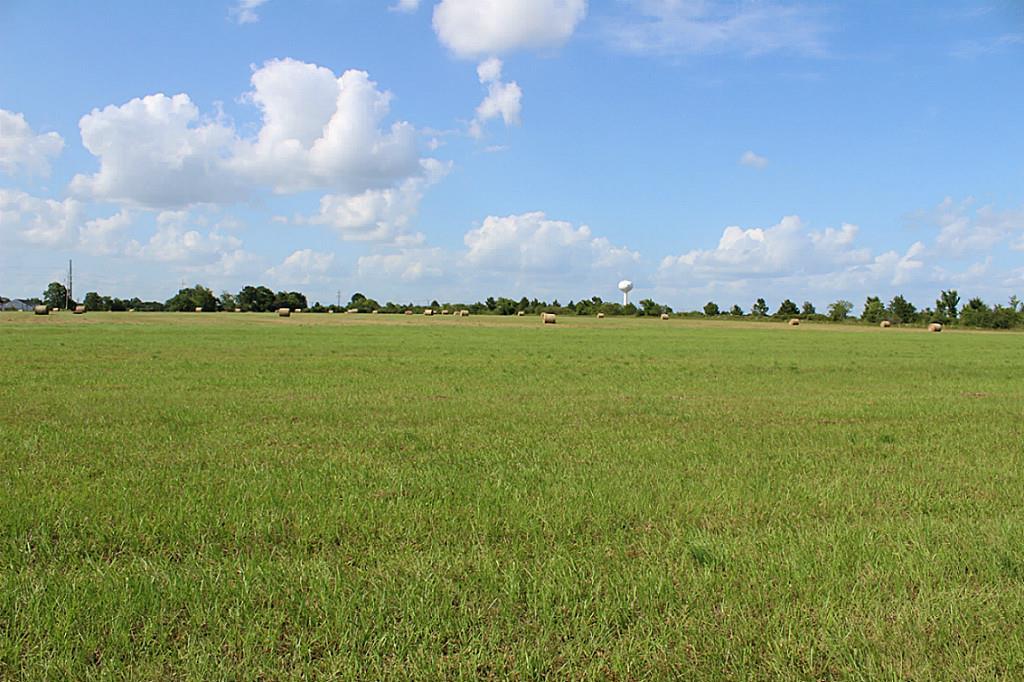 20720 Cochran / Fm 1098 Road - Photo 1