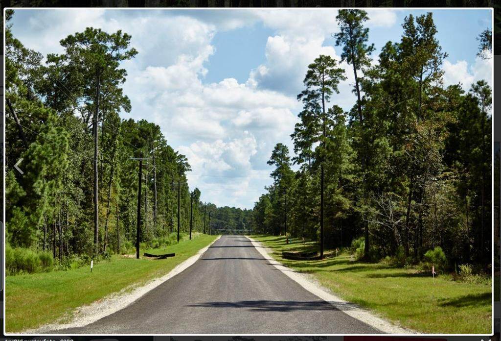 3B-15-20 Fire Sky Road - Photo 1
