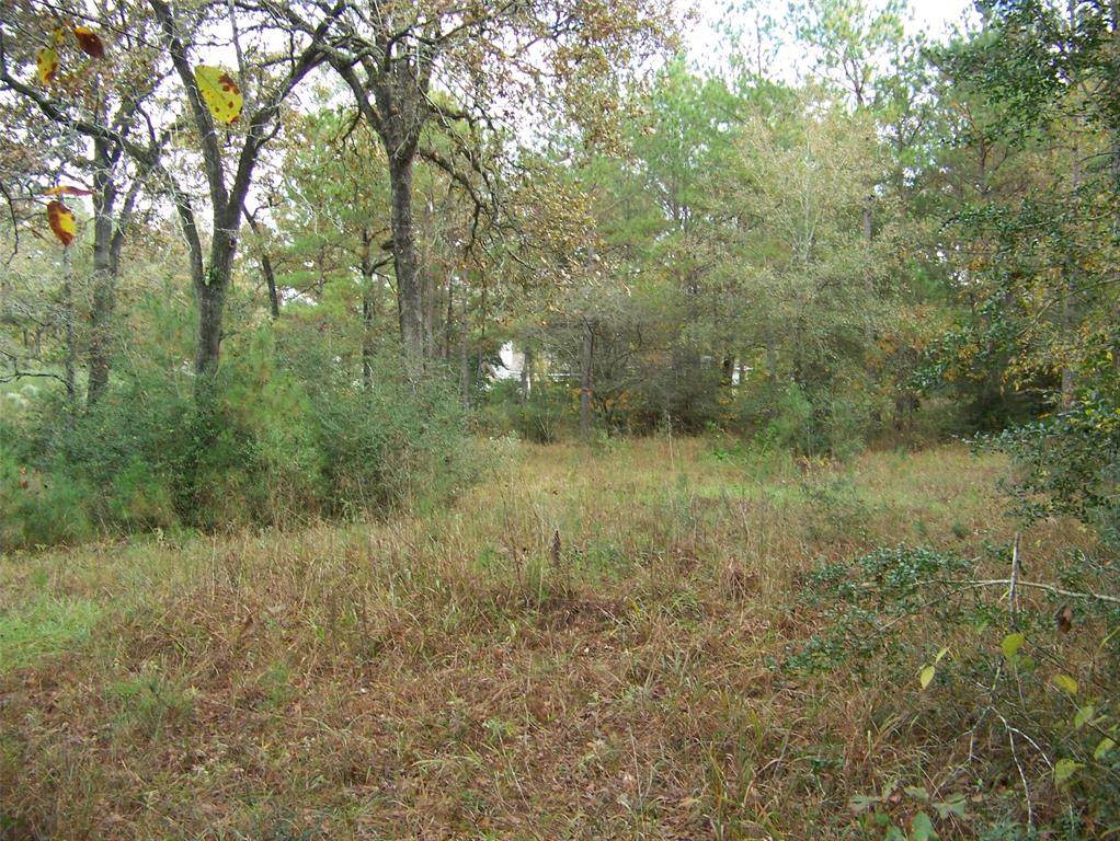 26242 Joseph Road - Photo 1