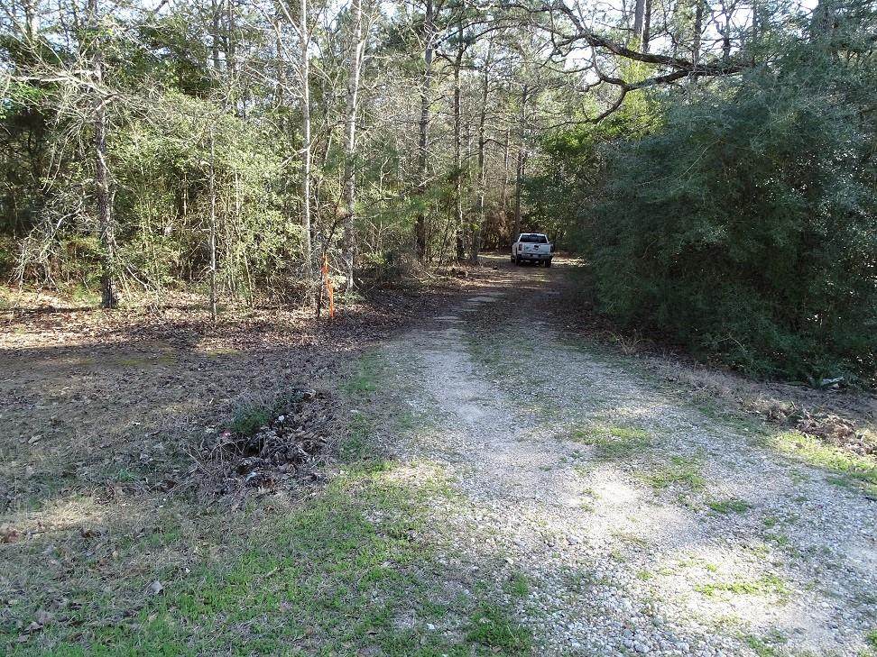 24909 Shady Oaks Boulevard - Photo 1