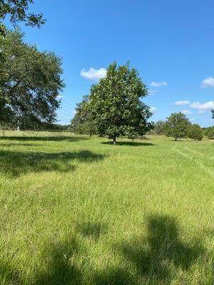 TBD Chambless Lane - Photo 1